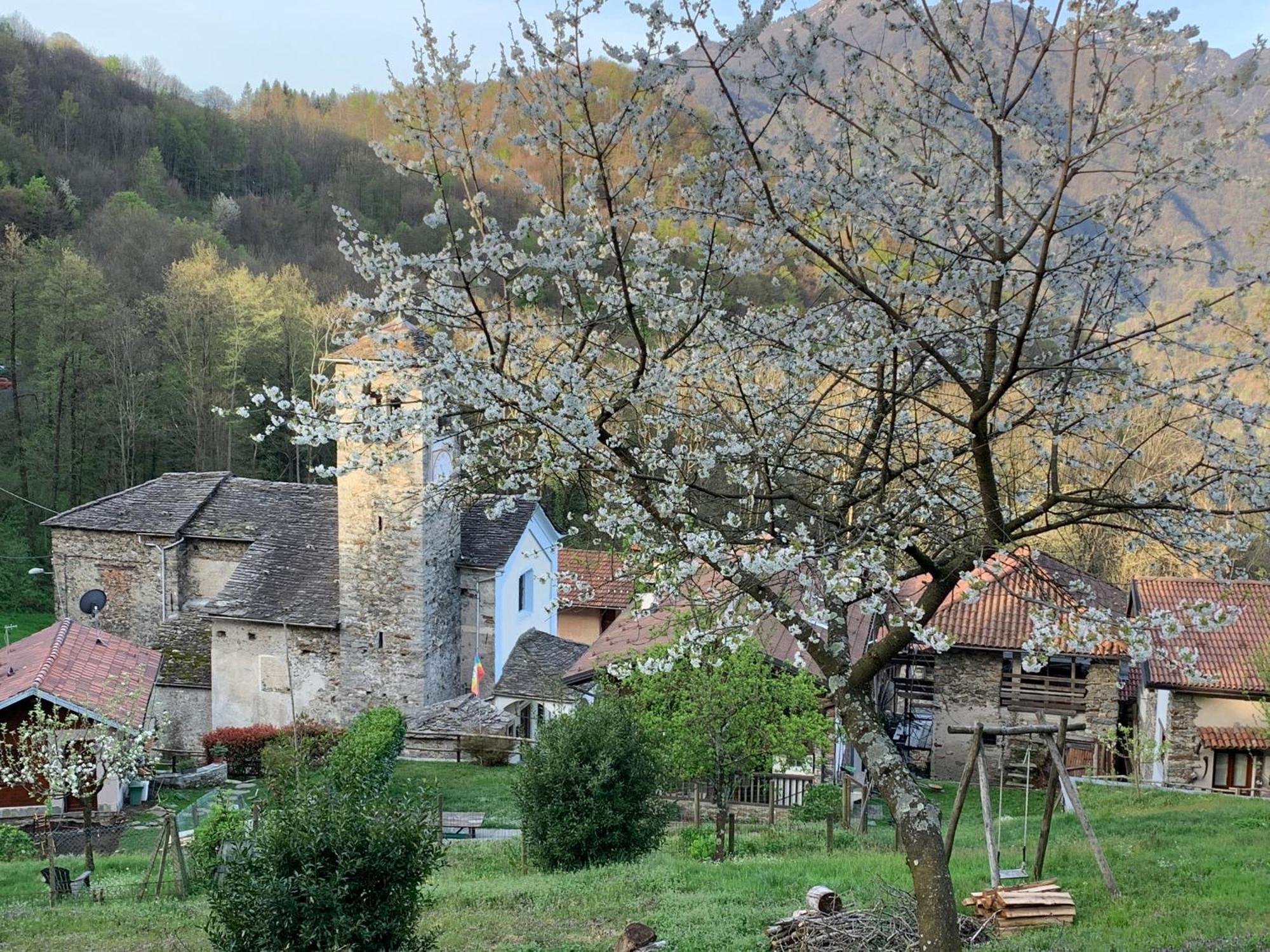Affittacamere Montagne Verdi Varallo Zewnętrze zdjęcie